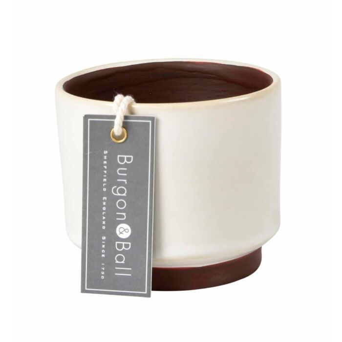 Burgon & Ball Malibu Succulent Pots-Cream-1